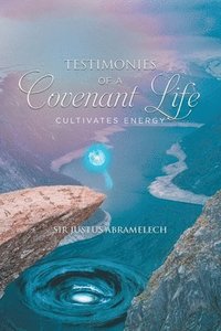 bokomslag Testimonies of A Covenant Life