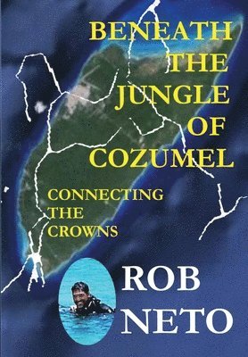 bokomslag Beneath the Jungle of Cozumel