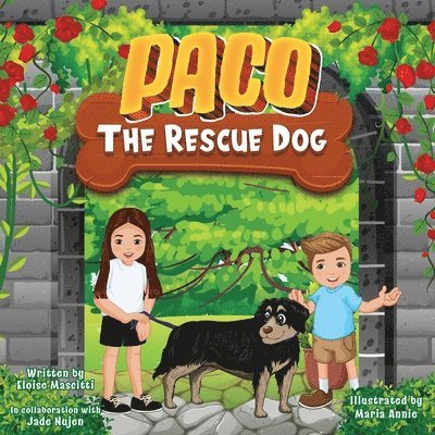 Paco The Rescue Dog 1