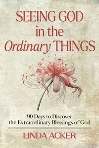bokomslag Seeing God in the Ordinary Things