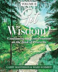 bokomslag Got Wisdom?