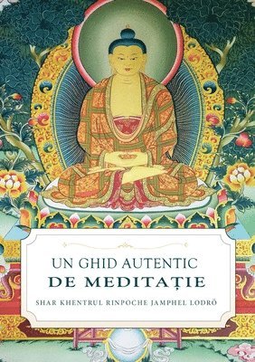 bokomslag Un Ghid Autentic de Medita?ie
