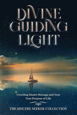 bokomslag Divine Guiding Light