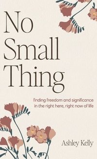 bokomslag No Small Thing: Finding Freedom and Significance in the Right Here, Right Now of Life