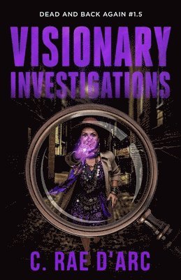 bokomslag Visionary Investigations