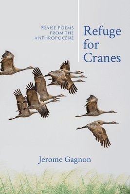 bokomslag Refuge for Cranes