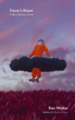 Trevor's Room: A 100 x 100 Micro Novel