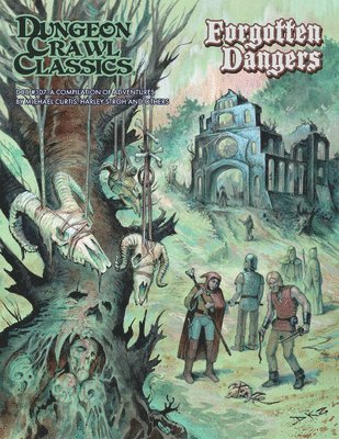 Michael Curtis, Harley Stroh, Julian Bernick, Terry Olson - Dungeon Crawl Classics #107 Forgotten Dangers, Häftad