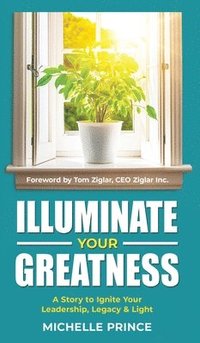 bokomslag Illuminate Your Greatness