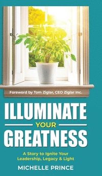 bokomslag Illuminate Your Greatness: A Story to Ignite Your Leadership, Legacy & Light