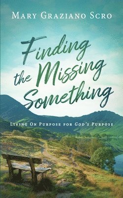 bokomslag Finding the Missing Something