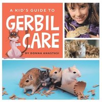 bokomslag A Kid's Guide to Gerbil Care