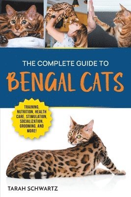 bokomslag Complete Guide to Bengal Cats