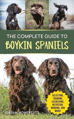 Jordan Honeycutt - Complete Guide to Boykin Spaniels, Inbunden
