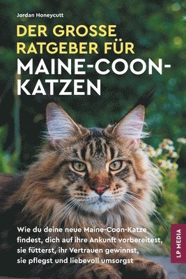 Jordan Honeycutt - große Ratgeber für Maine-Coon-Katzen, Häftad