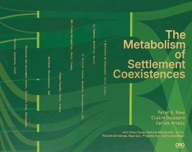 Carlos Arnaiz, Peter G. Rowe, Claire Doussard - Metabolism of Settlement Coexistences, Häftad