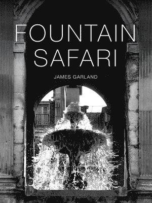 James Garland - Fountain Safari, Häftad