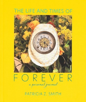 bokomslag Life and Times of Forever