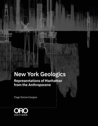 bokomslag New York Geologics