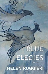 bokomslag Blue Elegies