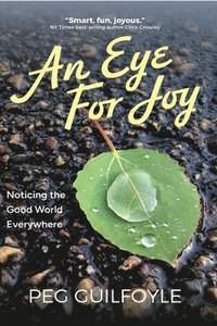 bokomslag An Eye for Joy: Noticing the Good World Everywhere
