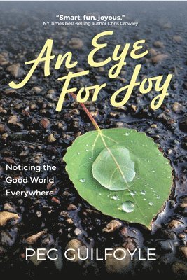 bokomslag An Eye for Joy: Noticing the Good World Everywhere