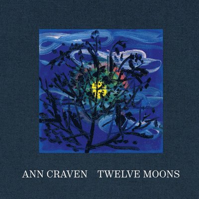 Ann Craven: Twelve Moons 1