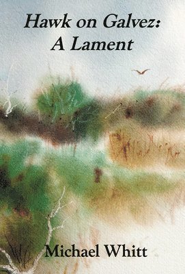 bokomslag Hawk on Galvez: A Lament