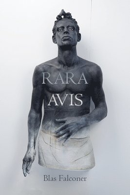 Blas Falconer - Rara Avis, Häftad