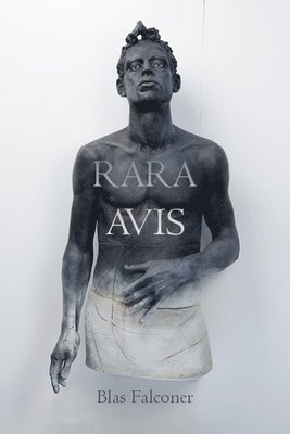 Rara Avis 1