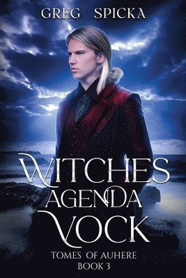 bokomslag Witches Agenda