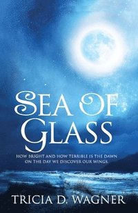 bokomslag Sea of Glass