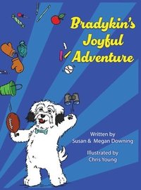 bokomslag Bradykin's Joyful Adventure