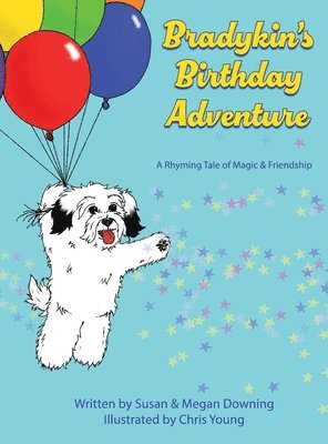 bokomslag Bradykin's Birthday Adventure