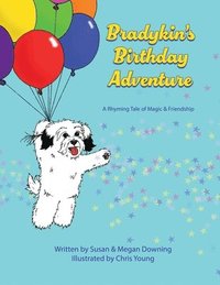 bokomslag Bradykin's Birthday Adventure