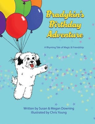 Bradykin's Birthday Adventure 1