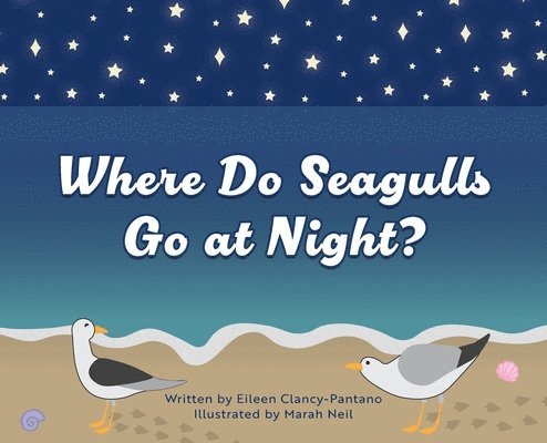 Where Do Seagulls Go at Night? 1