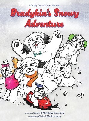 Bradykin's Snowy Adventure 1