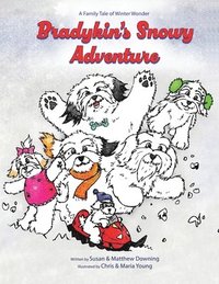 bokomslag Bradykin's Snowy Adventure