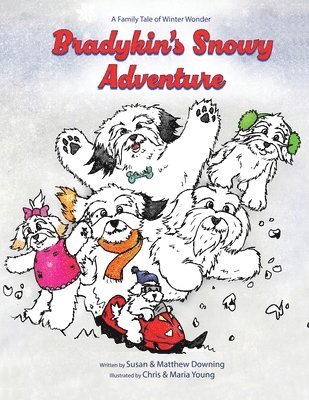 Bradykin's Snowy Adventure 1