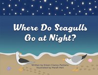 bokomslag Where Do Seagulls Go at Night?