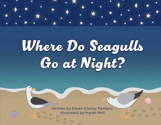 Where Do Seagulls Go at Night? 1