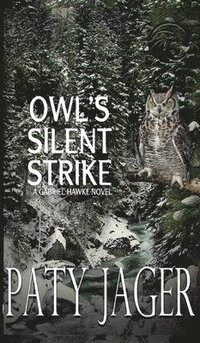 bokomslag Owl's Silent Strike
