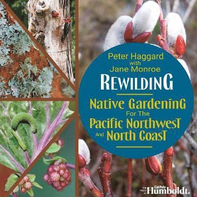 Rewilding 1
