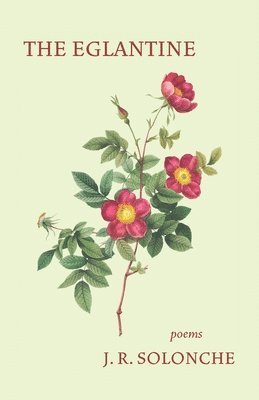 Eglantine