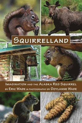 bokomslag Squirrelland