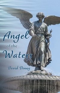 bokomslag Angel of the Waters