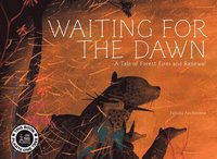 bokomslag Waiting for The Dawn
