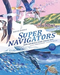 bokomslag Supernavigators