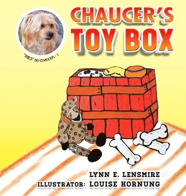 bokomslag Chaucer's Toy Box